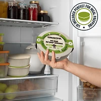 TerraBowl 48 oz. Eco-Friendly, Non-slip Pet Bowl with Lid for Dogs and Cats