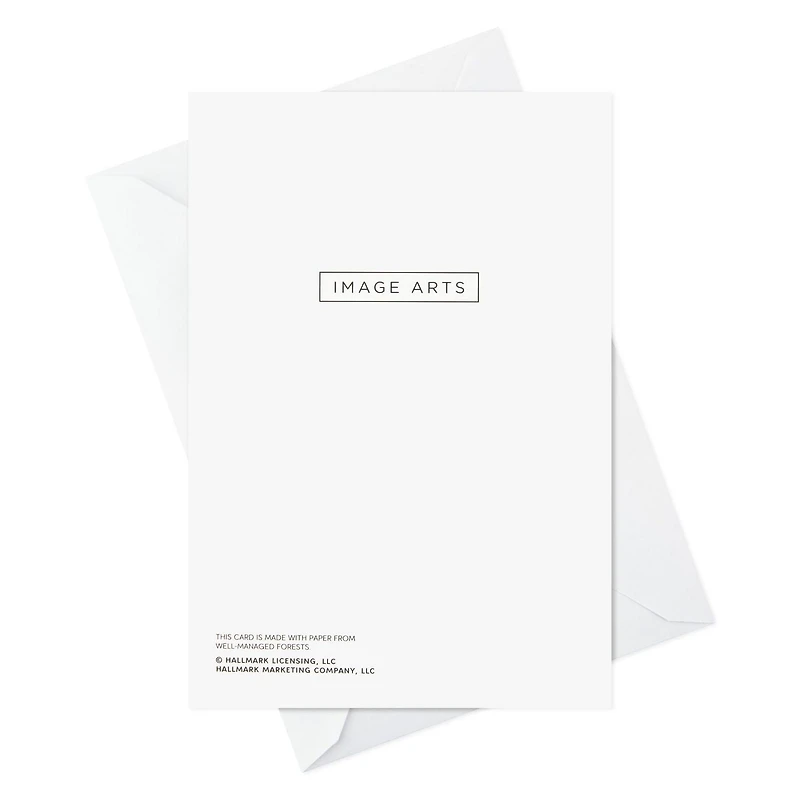 Boîte de 30 cartes de Noël Image Arts de Hallmark (Scène de hockey sur un étang gelé)