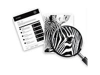 Cartouche d'encre noire authentique HP 962