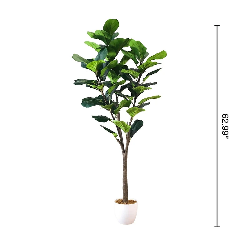 Fiddle Leaf Fig Tree, 62.9"H