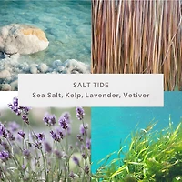 Bougie parfumée en pot ombré à 2 mèches à la cire de paraffine 12 oz Better Homes & Gardens, Marée salée Mélange de cire de paraffine