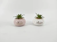 MINI PLANTER