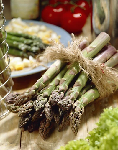 Asperges Jersey Giant