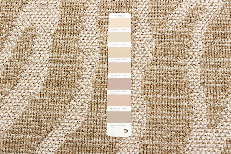 Tapis ECARPET Style Jute pour Chambre à Coucher, Salon