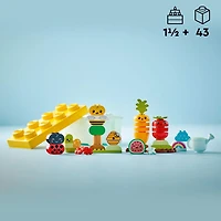 LEGO DUPLO My First Organic Garden Brick Box 10984, Stacking Toys for Babies and Toddlers 1.5+ Years Old, Learning Toy with Ladybug, Bumblebee, Fruit & Veg, Sensory Toy for Kids