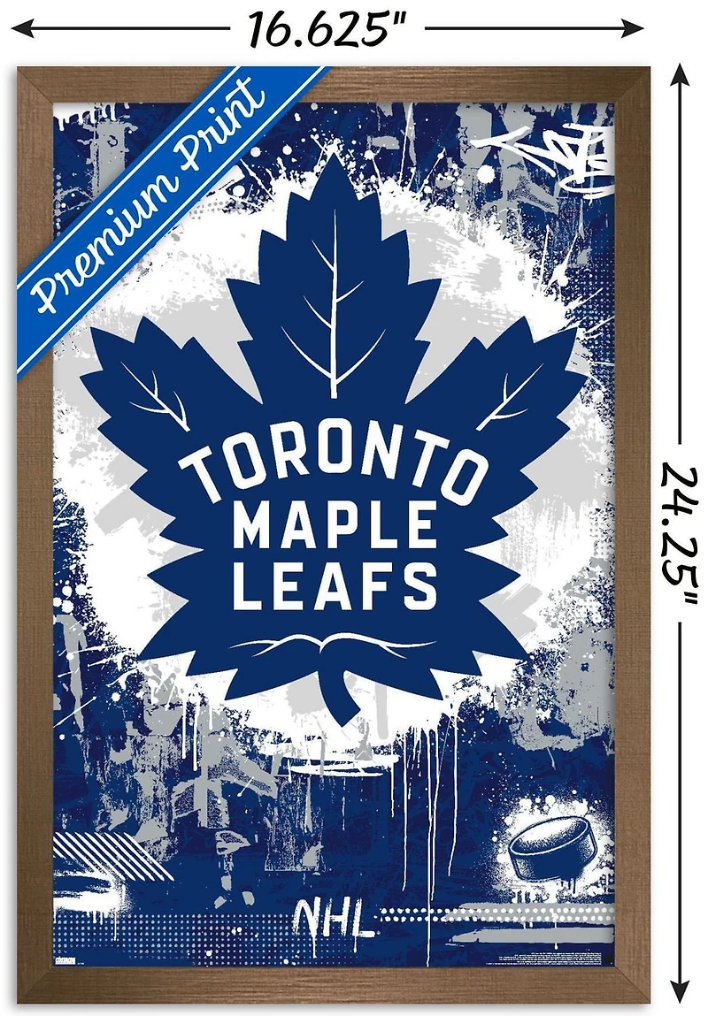 Maple Leafs de Toronto de la LNH