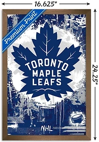 Maple Leafs de Toronto de la LNH