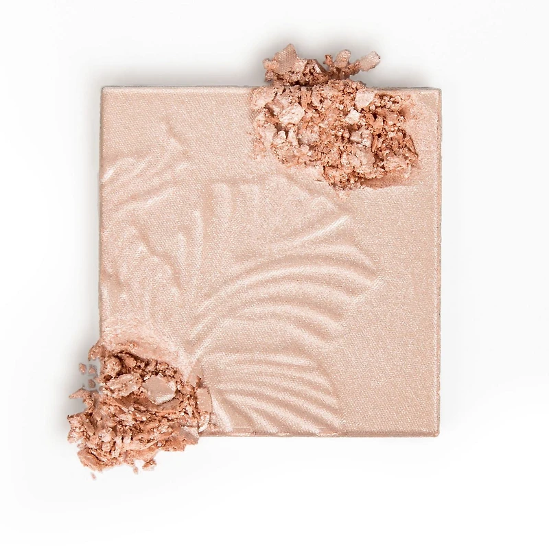 wet n wild MegaGlo Highlighting Powder Poudre Illuminatrice