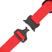 One Paw, Silicone Dog Collar with Metal Buckle, Water Repellent, Multiple Sizes