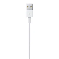 Câble Lightning vers USB Apple (1 m) Conception réversible.