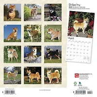 BrownTrout Shiba Inu 2024 Mur Carré 30.48x60.96 CM, 9781975465001
