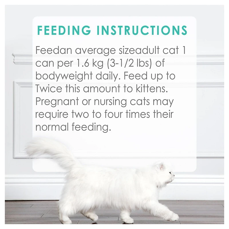 Fancy Feast Pate Ocean Whitefish & Tuna, Wet Cat Food 85g, 85 g