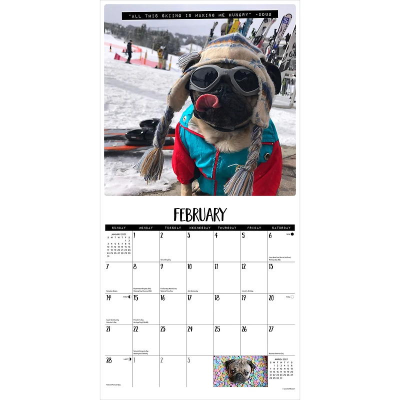 Doug the Pug & Dory 2027 Carré WILLOW CREEK