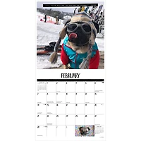 Doug the Pug & Dory 2027 Carré WILLOW CREEK