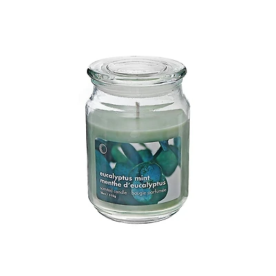 18 Oz Scented Jar With Glass Lid Eucalyptus Mint - Set of 2
