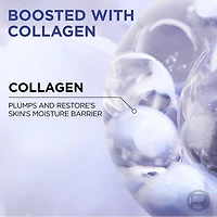 L'Oréal Paris Collagen Moisture Filler Sans Parfum, Crème Hydratante Quotidienne au Collagène, Hydratation 48 Heures, 50ml
