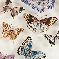 Set of Two Framed Under Glass Butterflies 8x10 - FRENCH NO BRAND IMPORT EX 2PK FRAMED BUTTERFLY