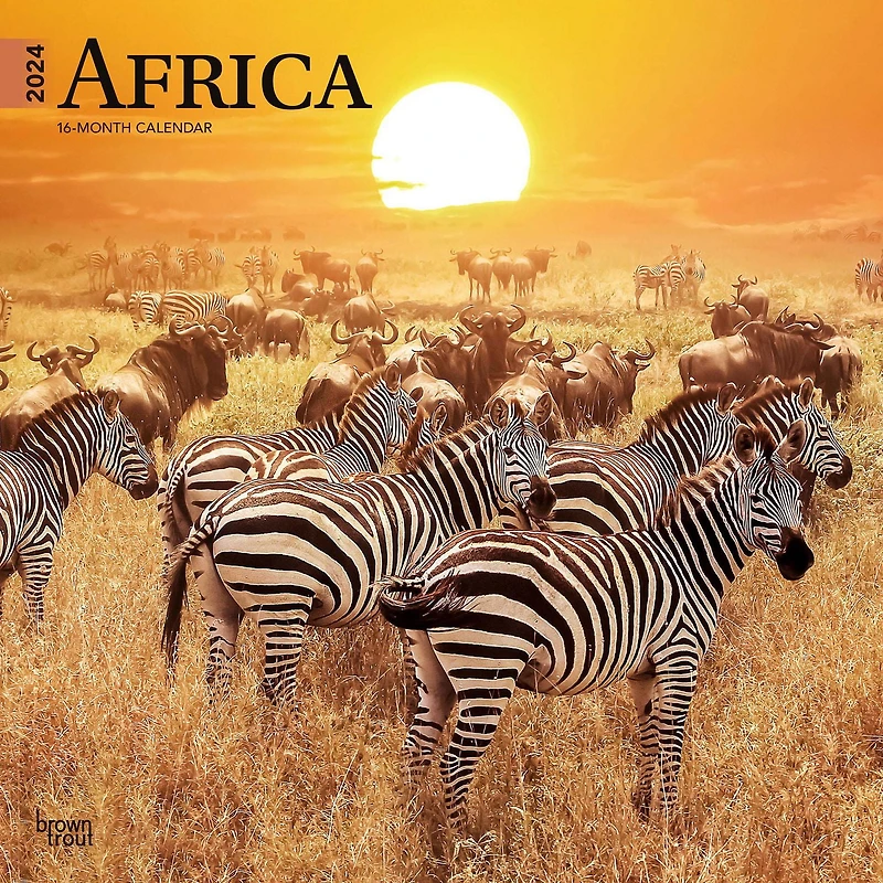 BrownTrout Africa 2024 12x24 Inch Square Wall Calendar, 9781975467357