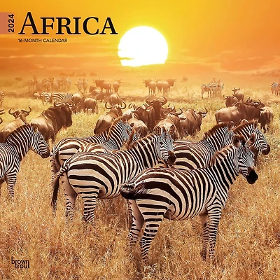 BrownTrout Africa 2024 12x24 Inch Square Wall Calendar, 9781975467357