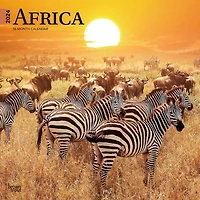 BrownTrout Africa 2024 12x24 Inch Square Wall Calendar, 9781975467357