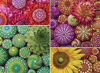 Ravensburger Mandala Blooms Jigsaw Puzzle