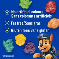 Betty Crocker Paw Patrol Fruit Flavoured Snacks, Gluten Free, 22 ct, 498 g
