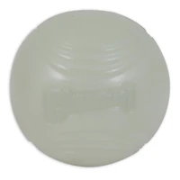 Chuckit! Max Glow Balle (jouet pour chien grand)