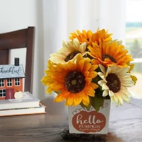 Way To Celebrate "Hello Pumpkin" Sunflowers Floral-In-A-Box