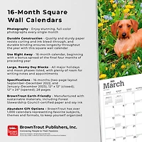 Dachshunds 2023 Square
