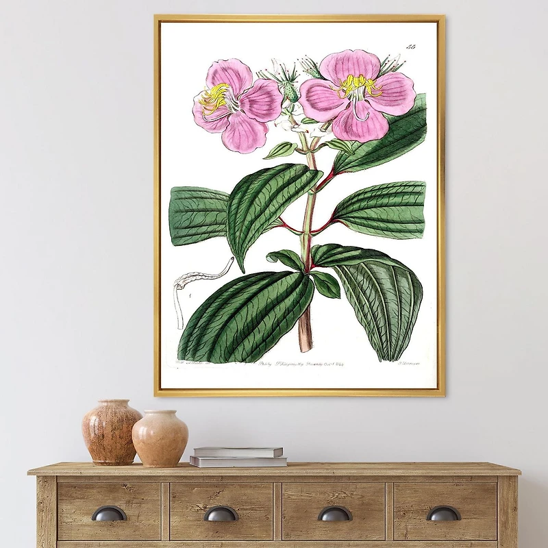 Designart Vintage Plant Life XXIII FLOAT FRAME WALL ART