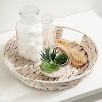 DesignOvation 3.75"H Angled Glass Globe Succulent Terrarium, 3.81in W x 3.75in H x 3.81 in D