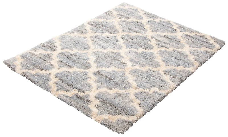 ECARPET Trellis Frieze Area Rug Fluffy Carpet for Bedroom, Ultra Soft & Plush Annica Collection