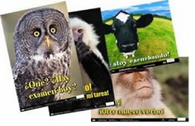 Ens. affiche amusnate en espagnol de Poster Pals