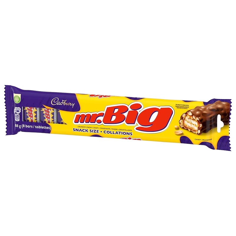 CADBURY MR. BIG, Chocolatey Candy Bar, Snack Size 8ct, 88 g