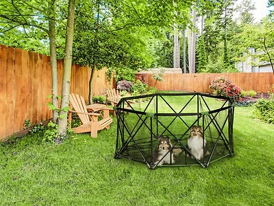 Parc pliant portatif Carlson Pet Products pour chiens à 8 panneaux en vert