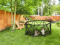 Parc pliant portatif Carlson Pet Products pour chiens à 8 panneaux en vert