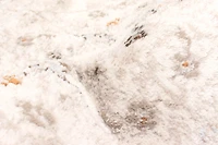 ECARPET Tapis Traditionnel Paradox pour Salon, Chambre, Salle A Manger, Entrée, Couloir et Plus Encore.