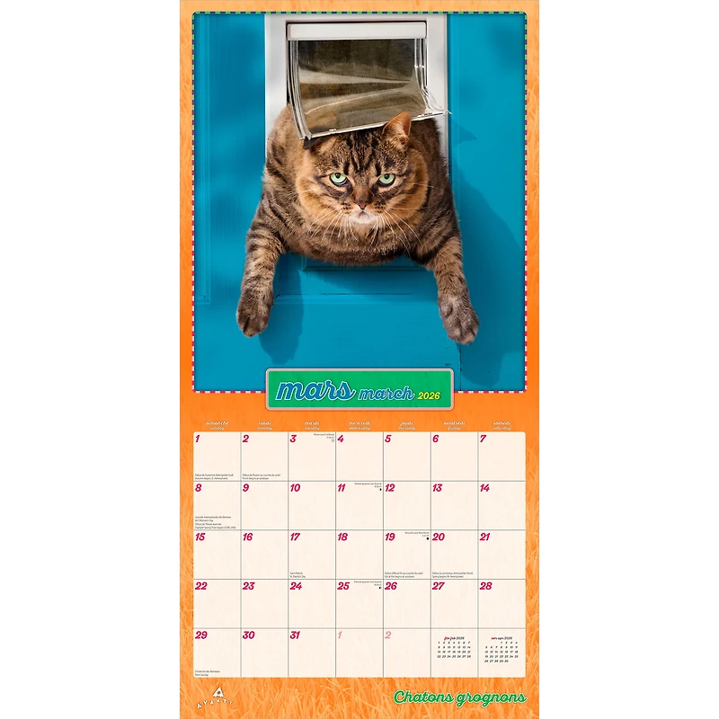 Avanti Chatons grognons 2026 Square FRENCH BTCA