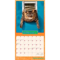 Avanti Chatons grognons 2026 Square FRENCH BTCA