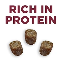 Purina ONE Véritable instinct bouchées avec venaison 198-566g