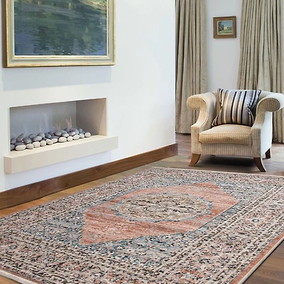 Tapis ECARPET Aspect Vieilli Vintage Traditionnel Collection Serena
