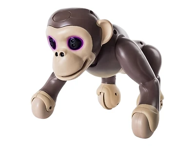 Zoomer - Chimpanzé - - - - - - - - - - - - - - - - - - -