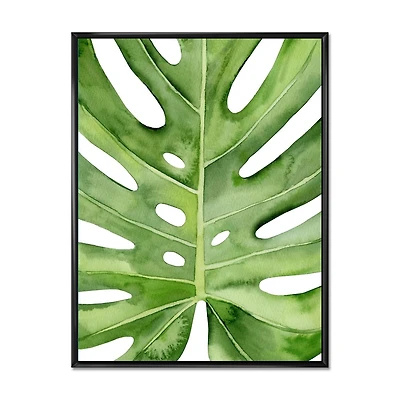Designart Green Monstera Leaf Tropical Palm Botanical Detail FLOAT FRAME WALL ART