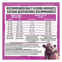 Beyond Simply Farm-Raised Beef, Barley & Free Run Egg Recipe, Dry Dog Food, 1.67-5 kg