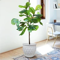 6" Diamond Belle Pot-White, Flower pot