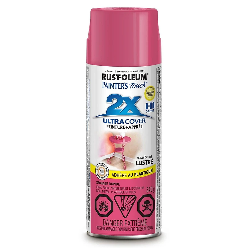 PAINTERS TOUCH 2X ULTRA COVER MAT CLAIR 340G AÉROSOL 340g
