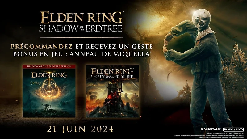 Jeu vidéo ELDEN RING Shadow of the Erdtree Edition pour (PS5)