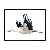Designart Flying White Stork Ciconia oiseau ART MURAL À CADRE FLOTTÉ