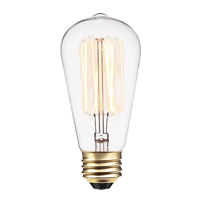 Ampoule Vintage Edison incandescente S60 avec filament et cage d'écureuil de 60W de Globe Electric, base E26, 220 Lumens, 01321