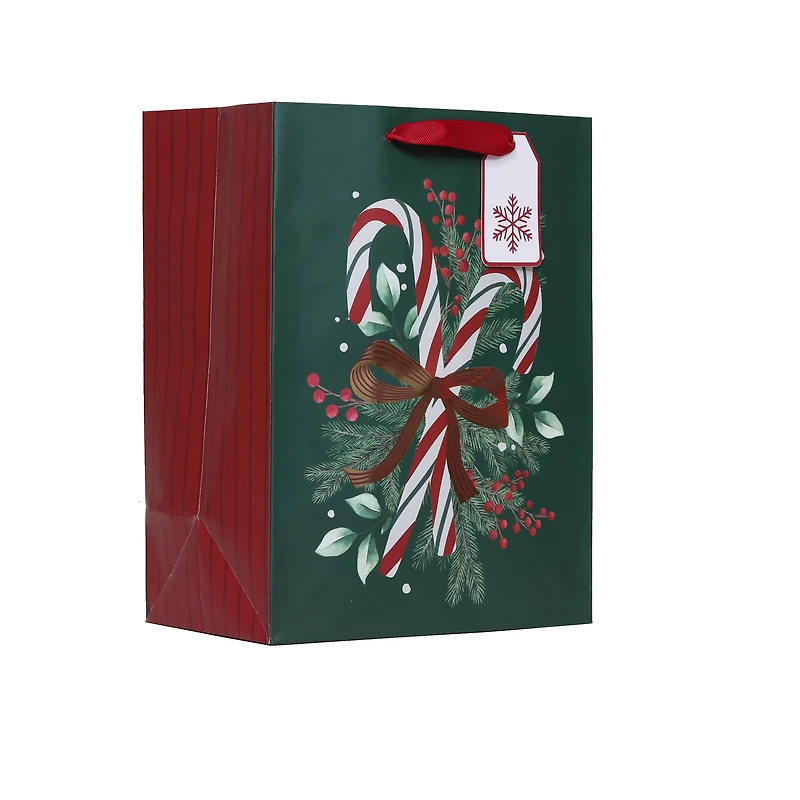 Sac cadeau en papier de Noël vert et rouge Holiday Time, taille moyenne HOLIDAY TIME PL CANDYCANE GIFT BAG